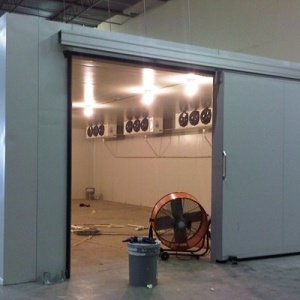 Hình sản phẩm A01